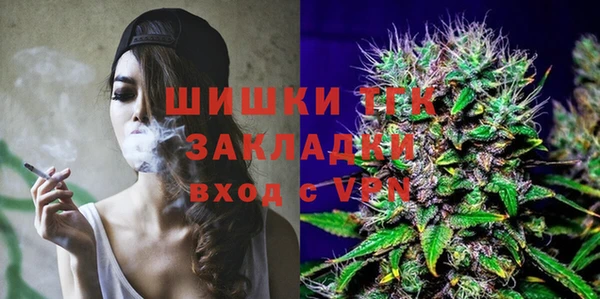 mix Ельня