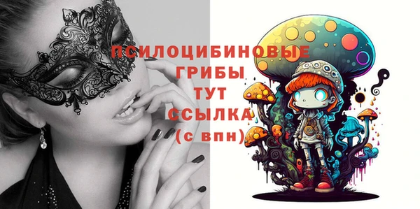 mix Ельня