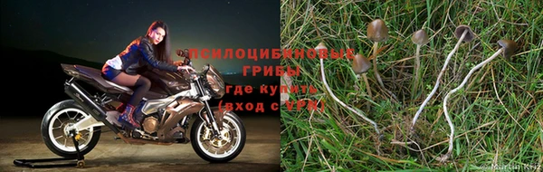 марки nbome Дмитриев