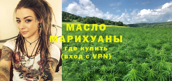 mix Ельня