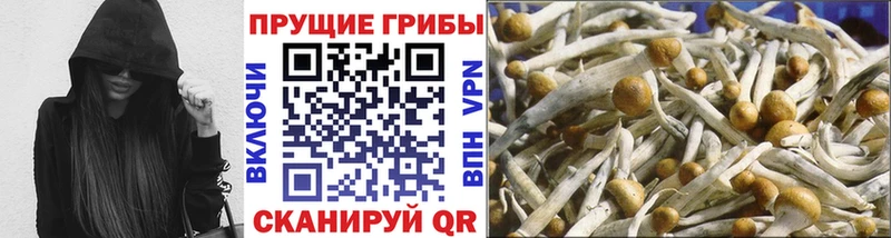 Галлюциногенные грибы мицелий  Смоленск 